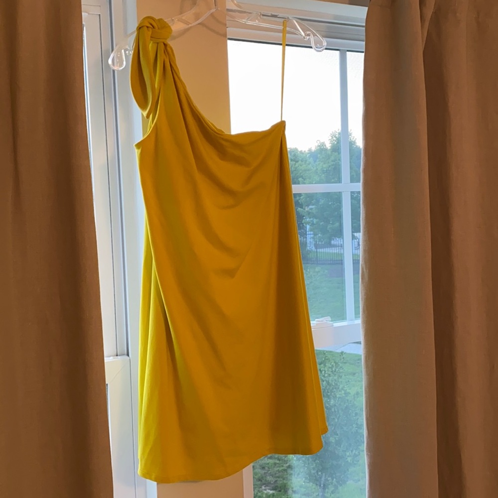 Susana Monaco dress